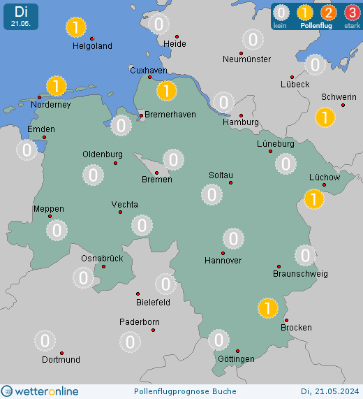 Wolfsburg: Pollenflugvorhersage Buche für Montag, den 29.04.2024