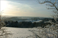 Viel Raureif und Frühlingsgefühle - Winter 2007/2008
