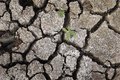 Grosse Dürre in Nordamerika