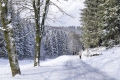 Schnee-Spass im Sauerland