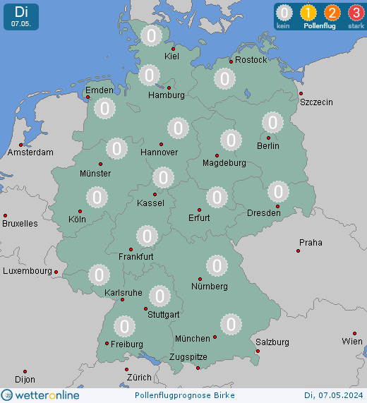 Deutschland: Pollenflugvorhersage Birke für Dienstag, den 29.11.2022