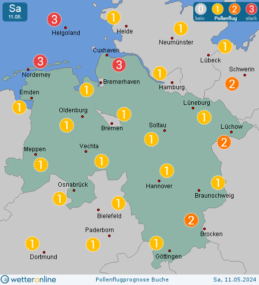 Borkum: Pollenflugvorhersage Buche für Donnerstag, den 28.03.2024