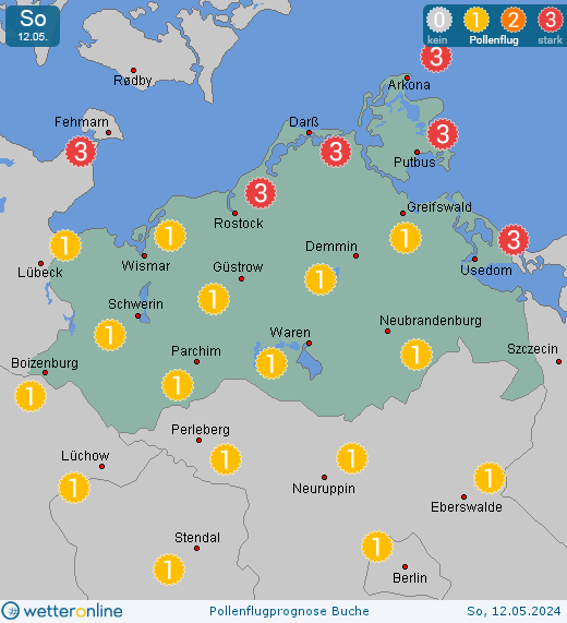 Mecklenburg-Vorpommern: Pollenflugvorhersage Buche für Freitag, den 19.04.2024