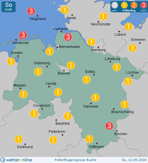 Lüchow: Pollenflugvorhersage Buche für Freitag, den 19.04.2024