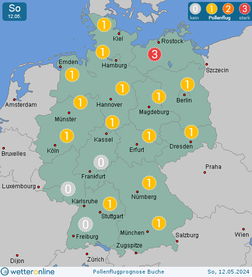 Deutschland: Pollenflugvorhersage Buche für Freitag, den 19.04.2024