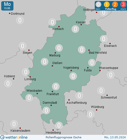 Hessen: Pollenflugvorhersage Esche für Freitag, den 19.04.2024