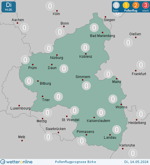 Mainz: Pollenflugvorhersage Birke für Mittwoch, den 24.04.2024