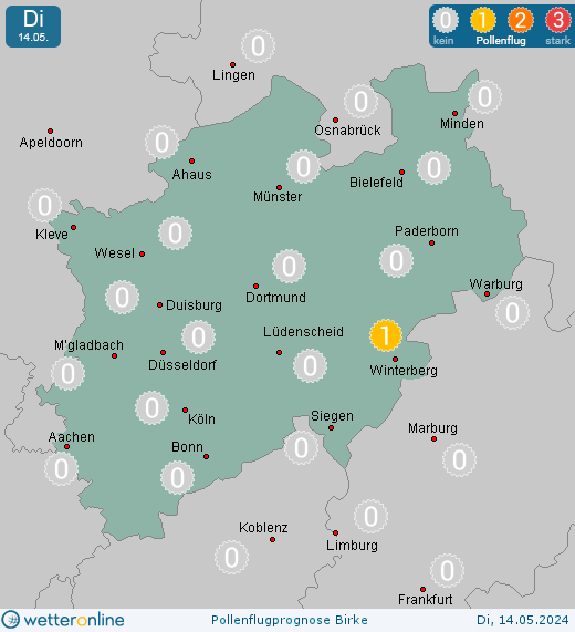 Eifel (in 500m): Pollenflugvorhersage Birke für Donnerstag, den 25.04.2024