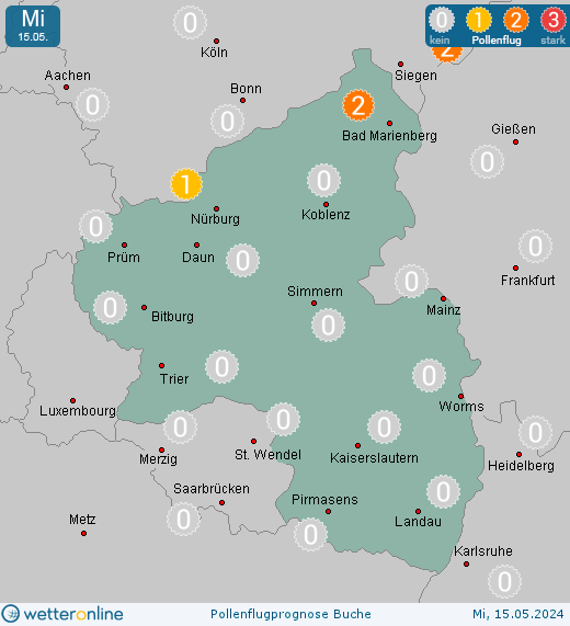 Mainz: Pollenflugvorhersage Buche für Freitag, den 26.04.2024