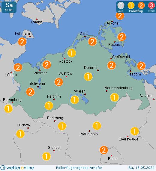 Usedom: Pollenflugvorhersage Ampfer für Samstag, den 27.04.2024