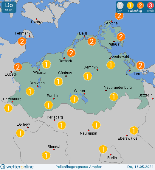 Mecklenburg-Vorpommern: Pollenflugvorhersage Ampfer für Samstag, den 27.04.2024