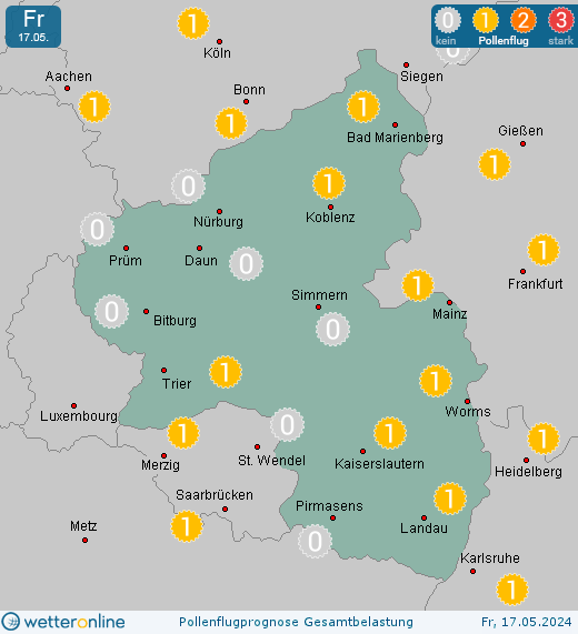 Kirchheimbolanden: Pollenflugvorhersage Ambrosia für Samstag, den 27.04.2024