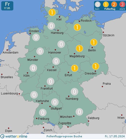 Deutschland: Pollenflugvorhersage Buche für Sonntag, den 28.04.2024