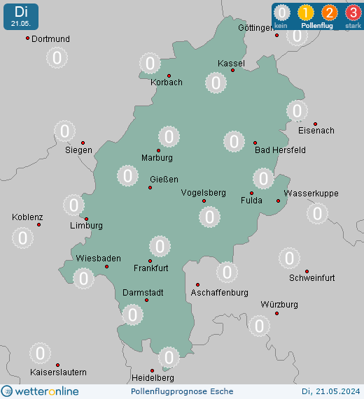 Ludwigsau: Pollenflugvorhersage Esche für Montag, den 29.04.2024