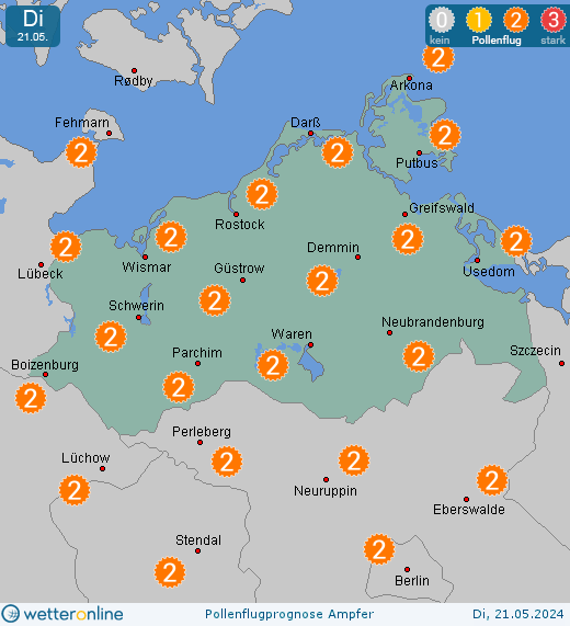 Neustrelitz: Pollenflugvorhersage Ampfer für Montag, den 29.04.2024