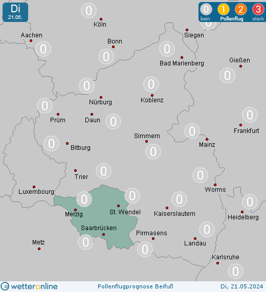 Neunkirchen: Pollenflugvorhersage Beifuss für Montag, den 29.04.2024