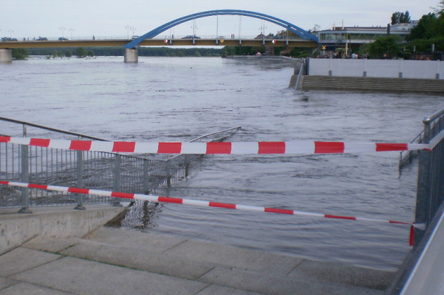 Hochwasser an der Oder