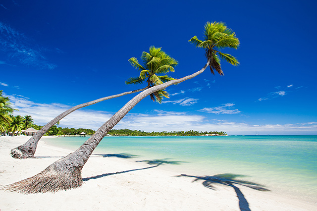 Fidschi - das tropische Paradies