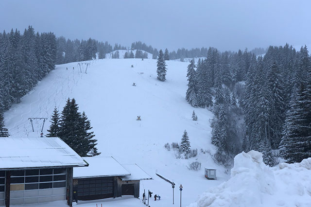 Alpen: Halber Meter Schnee