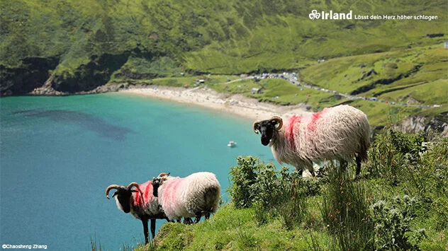 Roadtrip an der irischen Westküste durch Mayo und Sligo