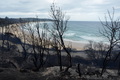Grosse Buschbrände in Australien