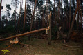 Tornado-Verdacht in Brandenburg