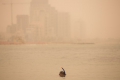 Sandsturm fegt über Nahen Osten