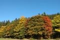 Die schönen Farben des Herbstes