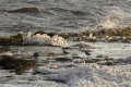 Eiswelt an der Ostsee