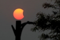 Asien: Mond verdunkelt die Sonne