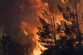 Waldbrände in Südwesteuropa