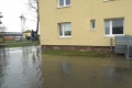Hochwasser an Rhein und Donau