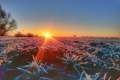 Eiskalter Sonnenaufgang