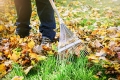 Rasenpflege für den Herbst