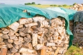 Brennholz - auswählen und lagern