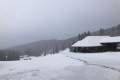 Wintergruss im Schwarzwald