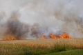 Feuer vernichtet Kornfeld