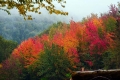 Der Herbst in Bildern