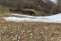 Alpen: Rasante Schneeschmelze