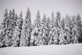 Mittelgebirge mit erstem Schnee