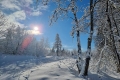 Der Winter in Bildern