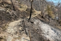 Schweiz und Italien: Waldbrände