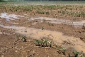 Extreme Dürre in Italien